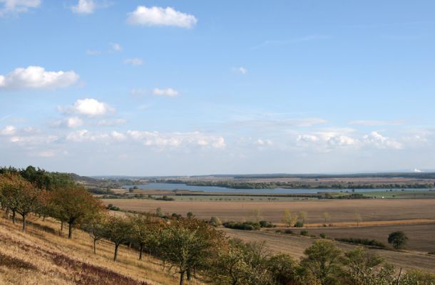 Hradčany, 7.10.2009
Třešňovka na stepích rezervace Báň. Pohled na Žehuňský rybník.
Schlüsselwörter: Hradčany Báň Žehuňský rybník Agriotes gallicus Anthaxia candens