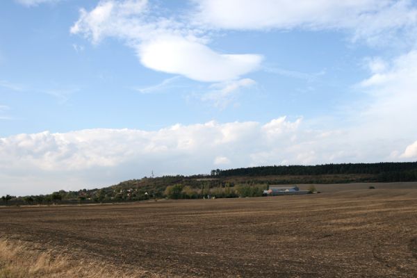 Hradčany, 7.10.2009
Pohled na Hradčany a rezervaci Báň.
Klíčová slova: Hradčany Báň Agriotes gallicus Anthaxia candens