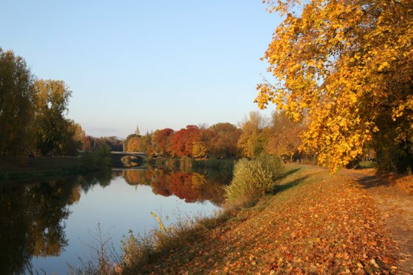 Hradec Králové - soutok Labe a Orlice, 23.10.2008
Barvy podzimu na soutoku. Pohled od jihu.
Mots-clés: Hradec Králové soutok Labe Orlice