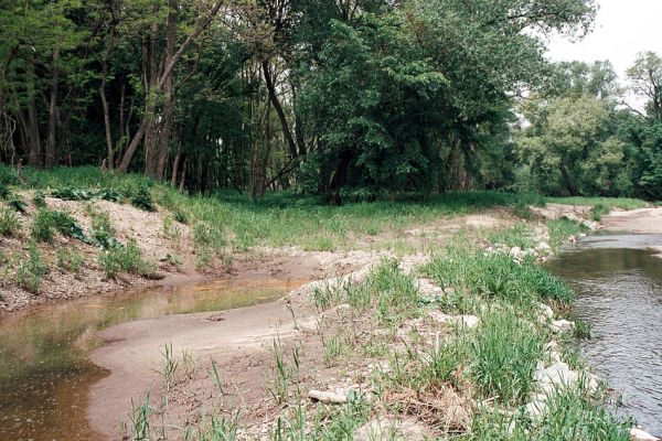 Hrádek - Oleksovičky, meandry Dyje, 16.5.2006
Na březích meantrující Dyje jsou uloženy četné štěrkové a písčité náplavy. Biotop kovaříků Zorochros dermestoides a Negastrius pulchellus.
Mots-clés: Hrádek Oleksovičky Dyje Zorochros dermestoides Negastrius pulchellus