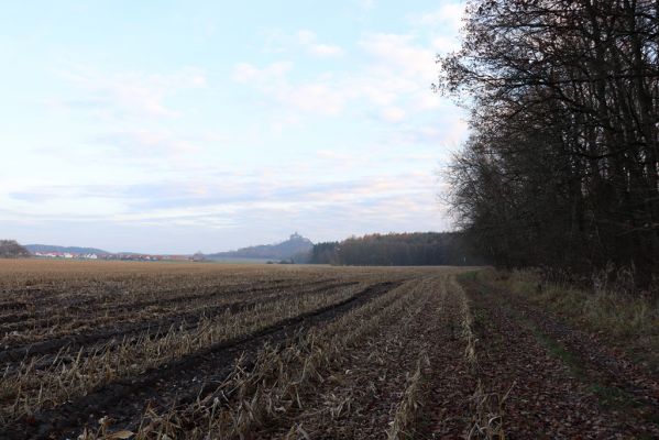 Hradiště na Písku, 23.11.2020
Pohled na Kunětickou horu.
Klíčová slova: Staré Hradiště Hradiště na Písku Kunětická hora