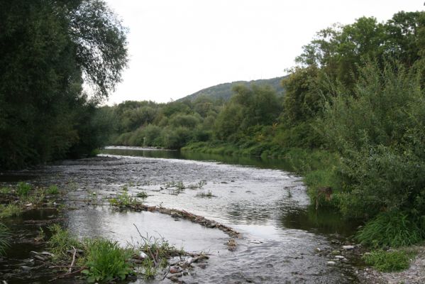 Hranice, Slavíč, 23.7.2017
Bečva.
Schlüsselwörter: Hranice Slavíč řeka Bečva