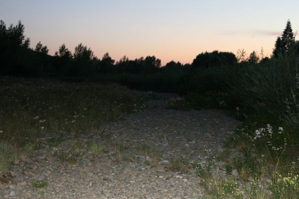 Hranice, Slavíč, 23.7.2017
Zarůstající štěrkový náplav Bečvy.
Klíčová slova: Hranice Slavíč řeka Bečva