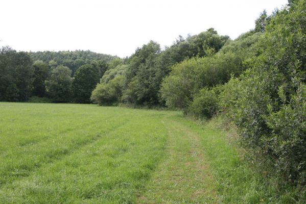 Hřibiny-Ledská, 9.7.2015
Podliska - záplavové louky u Bělé.



Klíčová slova: Hřibiny-Ledská Podliska Adrastus pallens