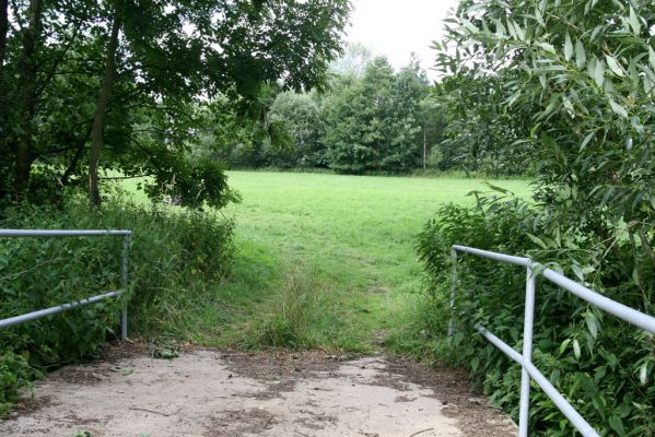 Hřibiny-Ledská, 9.7.2015
Podliska - záplavové louky u Bělé. Biotop kovaříka Oedostethus quadripustulatus.



Schlüsselwörter: Hřibiny-Ledská Podliska Adrastus pallens Oedostethus quadripustulatus