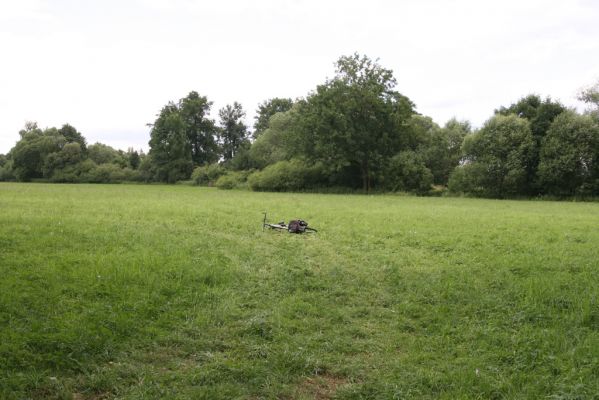 Hřibiny-Ledská, 9.7.2015
Podliska - záplavové louky u Bělé. Biotop kovaříka Oedostethus quadripustulatus.



Mots-clés: Hřibiny-Ledská Podliska Adrastus pallens Oedostethus quadripustulatus Agriotes sputator