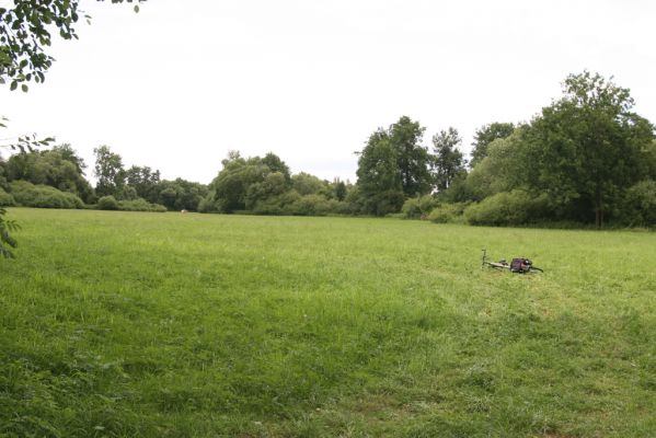 Hřibiny-Ledská, 9.7.2015
Podliska - záplavové louky u Bělé. Biotop kovaříka Oedostethus quadripustulatus.



Klíčová slova: Hřibiny-Ledská Podliska Adrastus pallens Oedostethus quadripustulatus Agriotes sputator