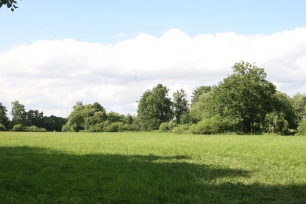 Hřibiny-Ledská, 9.7.2015
Podliska - záplavové louky u Bělé. Biotop kovaříka Oedostethus quadripustulatus.



Schlüsselwörter: Hřibiny-Ledská Podliska Adrastus pallens Oedostethus quadripustulatus Agriotes sputator