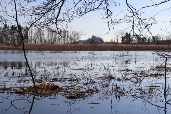 Hrobice, 10.2.2022
Rybník Baroch - pohled na Kunětickou horu.
Klíčová slova: Hrobice Baroch Kunětická hora