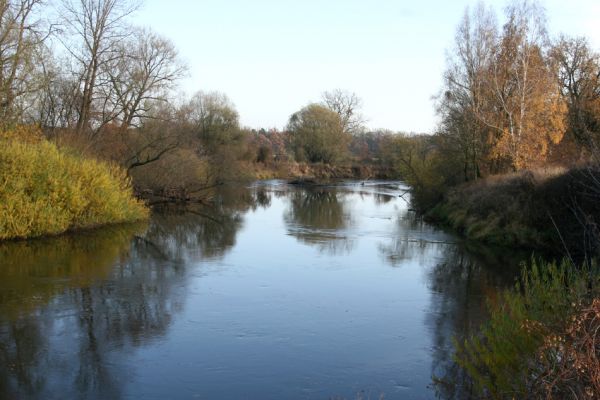 Hrobice, 15.11.2009
Meandr Labe mezi Hrobicemi a Bukovinou nad Labem.
Schlüsselwörter: Hrobice Bukovina nad Labem