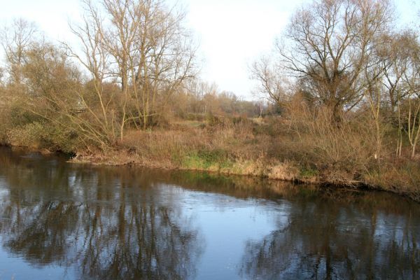 Hrobice, 15.11.2009
Zarůstající břeh meandru Labe mezi Hrobicemi a Bukovinou nad Labem.
Klíčová slova: Hrobice Bukovina nad Labem