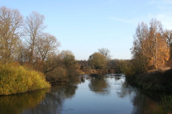 Hrobice, 15.11.2009
Meandr Labe mezi Hrobicemi a Bukovinou nad Labem.
Schlüsselwörter: Hrobice Bukovina nad Labem