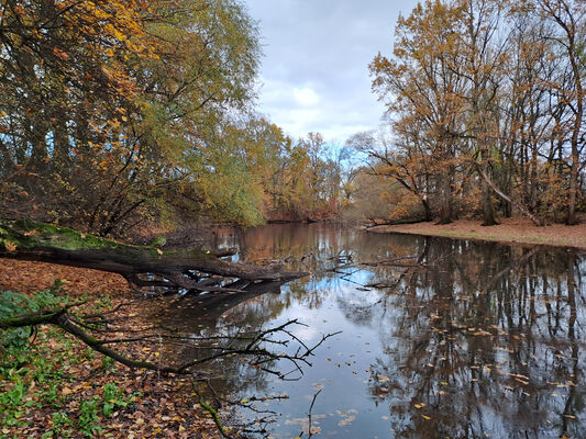 Hrobice, 16.11.2023
Tůň u Hrobic.
Keywords: Hrobice Tůň u Hrobic slepé rameno Labe