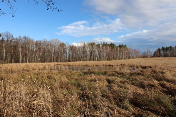 Hrobice, 24.12.2020
Rybník Baroch.
Klíčová slova: Hrobice Baroch