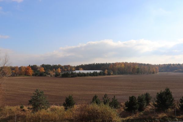 Hrobice, 5.11.2020
Les u hřebčína.
Klíčová slova: Hrobice hřebčín