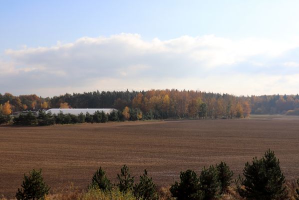 Hrobice, 5.11.2020
Les u hřebčína.
Klíčová slova: Hrobice hřebčín