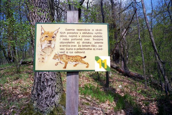Hronská Dúbrava, 29.4.2001
Boky - informační cedule.

Klíčová slova: Hronská Dúbrava Boky