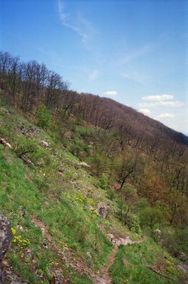 Hronská Dúbrava, 29.4.2001
Boky - lesostepní formace.


Klíčová slova: Hronská Dúbrava Boky