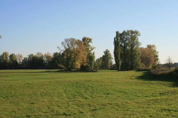 Opatovice-Hrozná, 15.10.2007
Podzim na Hrozné.
Schlüsselwörter: Opatovice Hrozná záplavové louky Oedostethus quadripustulatus