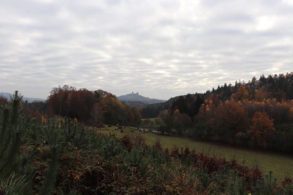 Hrubá Skála, 18.11.2020
Pohled od lesního hřbitova Hrubá Skála na Trosky.
Mots-clés: Hrubá Skála Babylon pastvina Trosky