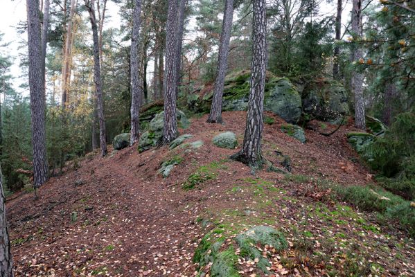 Hrubá Skála, 18.11.2020
Les na hřbetu jihozápadně od zámku.
Schlüsselwörter: Hrubá Skála les u zámku