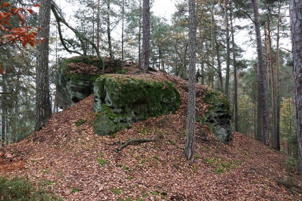 Hrubá Skála, 18.11.2020
Les na hřbetu jihozápadně od zámku.
Schlüsselwörter: Hrubá Skála les u zámku