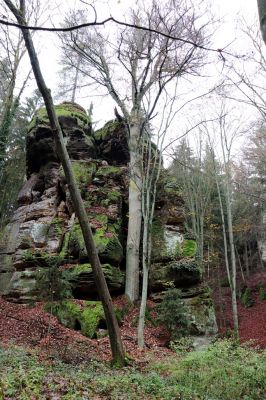 Hrubá Skála, 18.11.2020
Listnatý les v údolí severně od zámku.
Schlüsselwörter: Hrubá Skála les u zámku