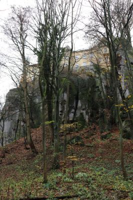 Hrubá Skála, 18.11.2020
Listnatý les v údolí na sever od zámku.
Klíčová slova: Hrubá Skála les u zámku