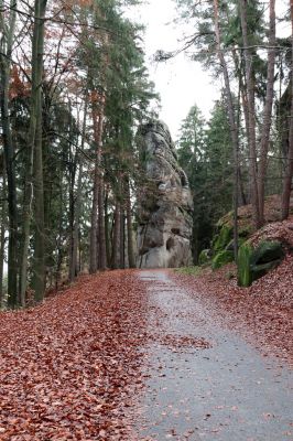 Hrubá Skála, 18.11.2020
Osudová.
Klíčová slova: Hrubá Skála Osudová