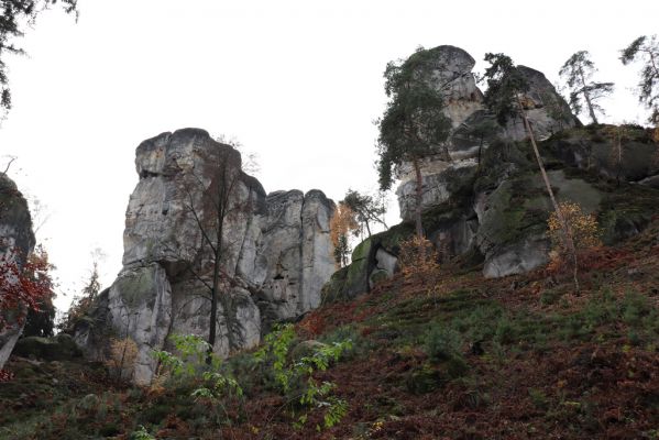 Hrubá Skála, 18.11.2020
Dračí skála.
Schlüsselwörter: Hrubá Skála Dračí skála