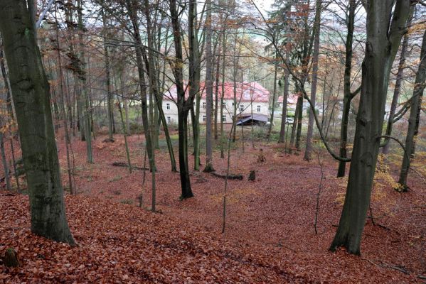 Karlovice, 18.11.2020
Lázně Sedmihorky - bučina na svahu nad lázněmi.
Schlüsselwörter: Karlovice Lázně Sedmihorky bučina