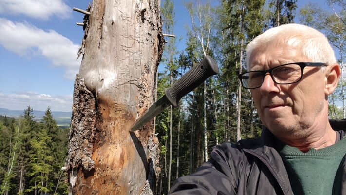 Božanov, 26.4.2025
Holoseč pod Suchým vrchem - biotop kovaříků Ampedus karpathicus.
Klíčová slova: Božanov Stolové hory Suchý vrch Ampedus karpathicus Mertlik