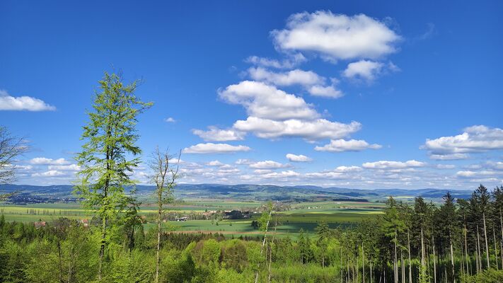Božanov, 26.4.2025
Božanovský Špičák. Pohled na Božanov a Soví hory.
Klíčová slova: Božanov Broumovské stěny Božanovský Špičák