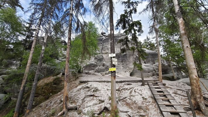 Žďár nad Metují, 6.5.2025
Kočičí skály, Kočičí hrad.
Klíčová slova: Žďár nad Metují vrch Ostaš Kočičí skály