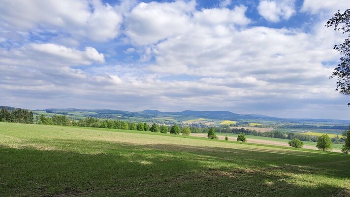 Žďár nad Metují, 6.5.2025
Na Stráni - pohled na Stolové hory (Hejšovinu a Bor).
Klíčová slova: Žďár nad Metují vrch Ostaš Stolové hory Hejšovina Bor