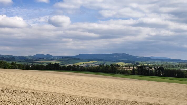 Žďár nad Metují, 6.5.2025
Na Stráni - pohled na Stolové hory (Hejšovinu a Bor).
Klíčová slova: Žďár nad Metují vrch Ostaš Stolové hory Hejšovina Bor
