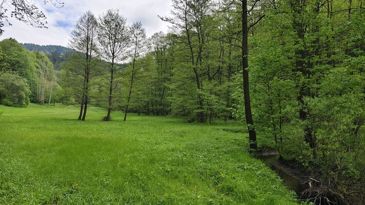 Bezděkov nad Metují, 7.5.2025
Meandry Metuje pod Petrovičkami.
Klíčová slova: Bezděkov nad Metují meandry Metuje