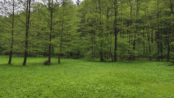 Bezděkov nad Metují, 7.5.2025
Meandry Metuje pod Petrovičkami.
Klíčová slova: Bezděkov nad Metují meandry Metuje