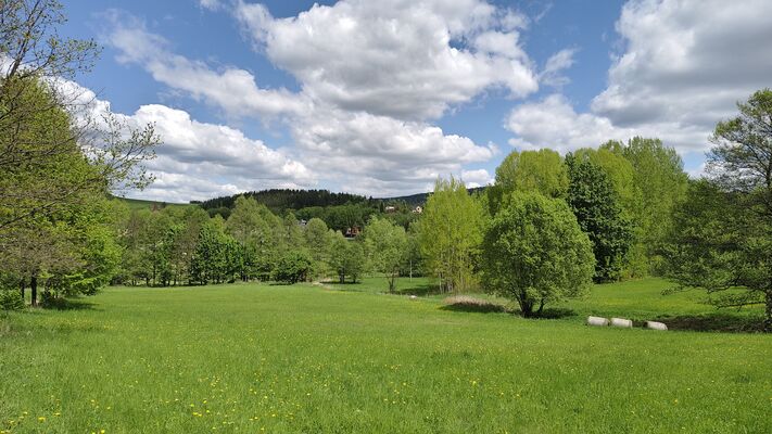 Machov, 9.5.2025
Pod Hůrkou.
Klíčová slova: Machov Ctenicera pectinicornis