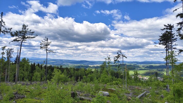 Machov, 9.5.2025
Holoseče pod vrchem Bor - pohled na Krkonoše.
Klíčová slova: Machov Pod Borem vrch Bor Ampedus kartpathicus
