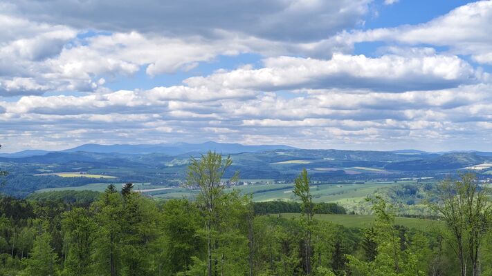Machov, 9.5.2025
Holoseče pod vrchem Bor - pohled na Krkonoše.
Klíčová slova: Machov Pod Borem vrch Bor