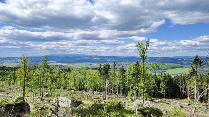 Machov, 9.5.2025
Holoseče pod vrchem Bor - pohled na Krkonoše.
Klíčová slova: Machov Pod Borem vrch Bor Ampedus kartpathicus