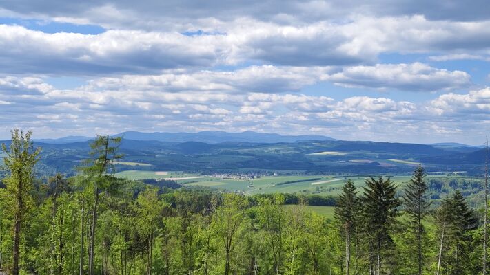 Machov, 9.5.2025
Holoseče pod vrchem Bor - pohled na Krkonoše.
Klíčová slova: Machov Pod Borem vrch Bor
