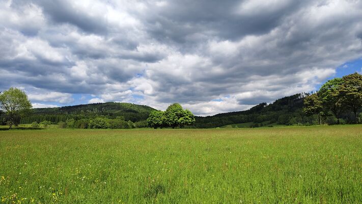 Machov, 9.5.2025
Louky u Borského potoka.
Klíčová slova: Machov stolová hora Bor