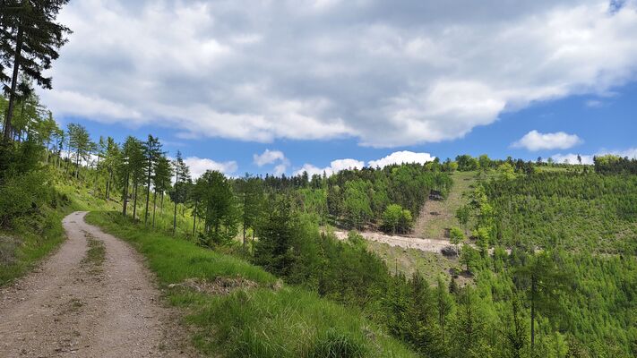 Meziměstí, Ruprechtice, 12.5.2025
Ruprechtický Špičák, cesta pod Široký vrch.
Klíčová slova: Meziměstí Ruprechtice Javoří hory Ruprechtický Špičák Široký vrch