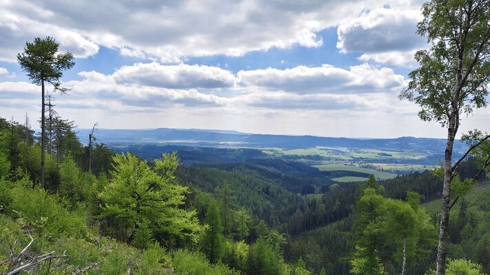 Meziměstí, Ruprechtice, 12.5.2025
Ruprechtický Špičák - pohled na Broumovsko.
Klíčová slova: Meziměstí Ruprechtice Javoří hory Ruprechtický Špičák