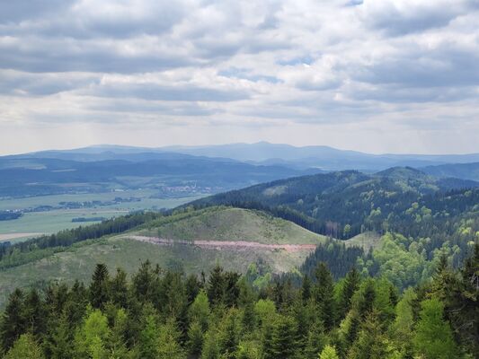 Meziměstí, Ruprechtice, 12.5.2025
Ruprechtický Špičák - pohled na Krkonoše.
Klíčová slova: Meziměstí Ruprechtice Javoří hory Ruprechtický Špičák