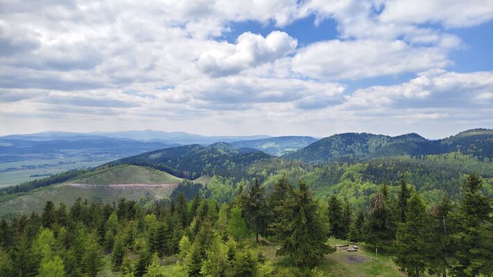 Meziměstí, Ruprechtice, 12.5.2025
Ruprechtický Špičák - pohled na Krkonoše. 
Klíčová slova: Meziměstí Ruprechtice Javoří hory Ruprechtický Špičák