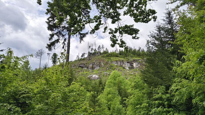 Teplice nad Metují, 17.5.2025
Jiráskovy skály. Holoseč nad pramenem U Sv. Huberta.
Klíčová slova: Teplice nad Metují Jiráskovy skály Ampedus karpathicus