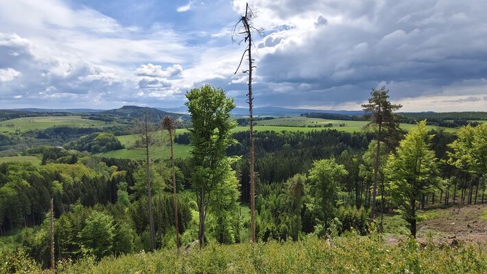 Teplice nad Metují, 17.5.2025
Ostaš z Jiráskových skal.
Klíčová slova: Teplice nad Metují Jiráskovy skály